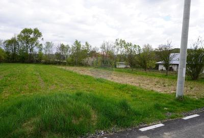Teren Intravilan de 2.216 mp în Sarasău - 7