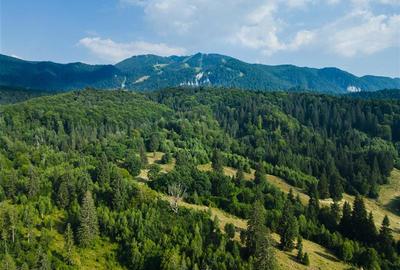 Film! Teren cu destinatie turistica si agrement, Poiana Brasov - Rasnov - 9