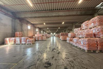 DE INCHIRIAT HALĂ INDUSTRIALĂ CLASA A | 5.000 MP | CHITILA - 9