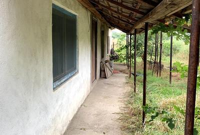 Casa individuala în Otelec - 3.313 mp teren - 2 fronturi stradale - 12