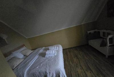 Pensiune in mijlocul naturii!! - 10