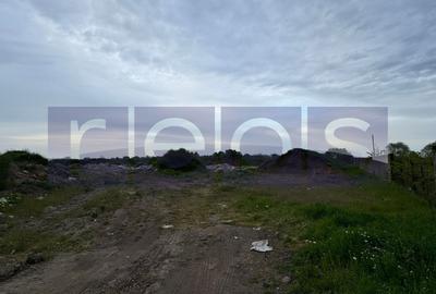 VANZARE TEREN 16.000 MP | 2 LOTURI | CONSTRUCTII EXISTENTE | ROSIORI DE VEDE - 4