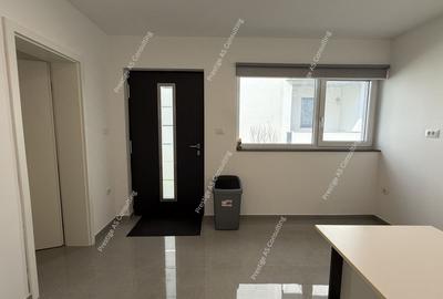 Spatiu Birou Office, Salon, Depozitare | Dumbravita-Parcul Terra - 9
