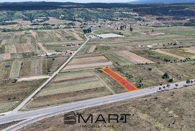 Teren 5900 mp extravilan zona Selimbar - 2