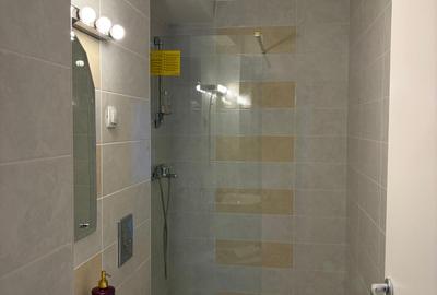 Inchiriere Apartament 2 Camere Iancu Nicolae - 14