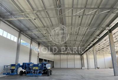 Spatiu Industrial - Baciu - 1300 mp - Plaftorma Betonata - Acces TIR - 5