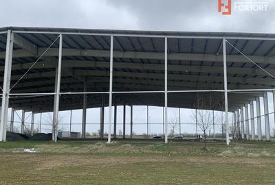 COMISION 0% Hala industriala 5500 mp utili zona de Nord Timisoara - ID V5143 - 6