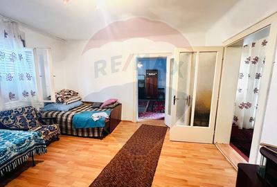 Casă 4 camere 1672 mp teren in Horia - 9