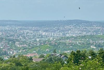 Teren extravilan 952mp, Bucium, cu dublu acces la drum - 3