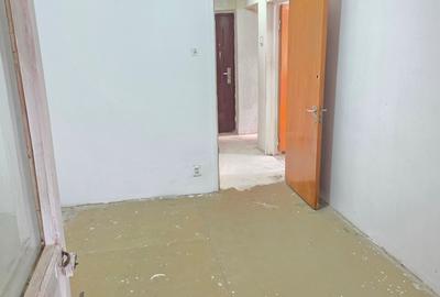 Lacul Tei  Teiul Doamnei  Colentina - 21