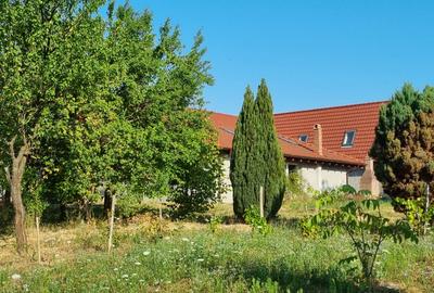 Casa Pensiune in Viile Satu Mare teren 1,63 ha, 11 camere, 10 bai - 1