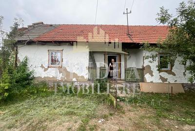 Casa Babsa, comuna Balint 2084mp teren - 7