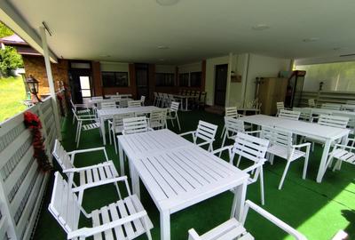 Afacere la cheie! Pensiune (casa de locuit) cu restaurant zona Cugir! - 6
