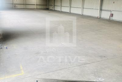 Hala noua ||zona Lidl - 8