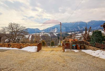 Cabana la Flo, 8 cam,P + M, teren 888 mp oportunitate de investitie ! - 16