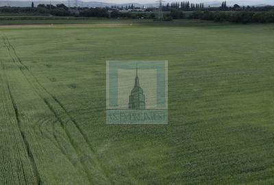 Teren intravilan 50000 mp, cu PUZ, Aprobat - zona Halchiu/Codlea - 8