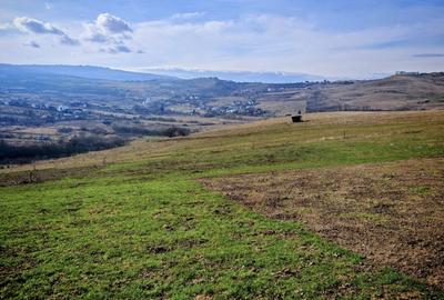 TEREN INTRAVILAN ,17.350 mp , in zona BORHANCI - SOPOR - 1