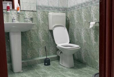 De inchiriat Apartament 2 camere Bld. Ferdinand - 6