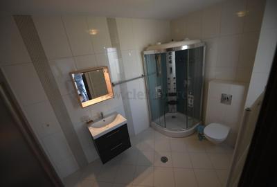 Vila renovata in apropiere de Iancu Nicolae - 10