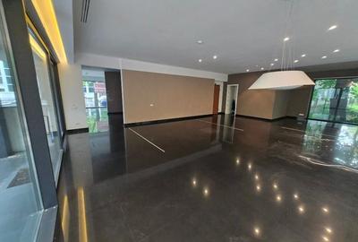 FLOREASCA | Spatiu comercial premium | Vitrina stradala Terasa 100 m - 7