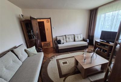 Apartament cu 2 camere la parter, in Astra, Brasov - 2