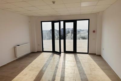 Hala industriala nouă, 386 mp, teren 900 mp, Domnești-Centura - 10