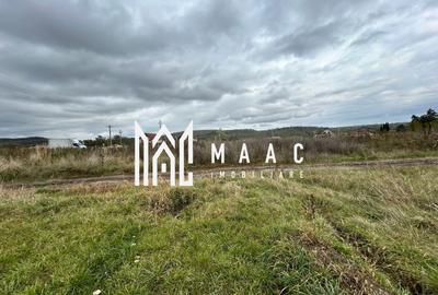 Teren | 3700 mp | Deschidere la DN | Intrare Vestem – Sibiu - 9