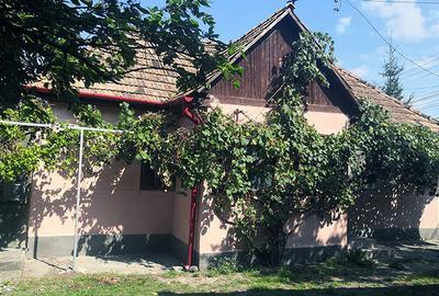 Potențial imobiliar! casa curte, front 15 m, teren 11000 mp - 9