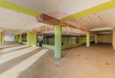 Activ Hotelier SubEvaluat | 18.000 mp construiti | 3 ha teren | BRASOV - 27
