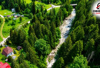 Cabană de Vânzare în Tarcău – Natură, Relaxare și Pescuit la Poartă! - 1