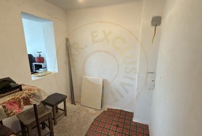 De vânzare 2 Case de vinificație cu Teren 4108 mp - Grădina Viilor - Carei - 13