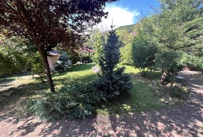 Conacul Mura in Baile Olanesti, O Bijuterie Naturala - 12