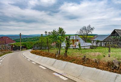 Casă din chirpici, bucătărie de vară și 1.34 ha de teren, Ardeoani - 3