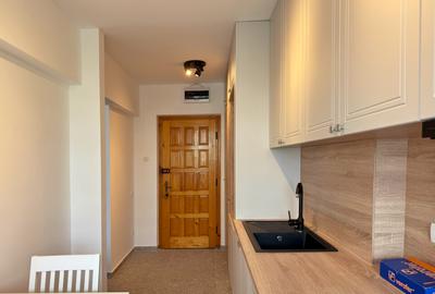 Apartament 3 camere complet renovat, zona Gheorghe Petrașcu – Arena Națională - 8