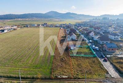 Teren 3.288 mp cu Potential Rezidential, Sanpetru, Brasov - 1