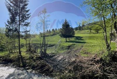 Teren 12,127mp Frasin / Drumul Forestier Valea Seacă - 10