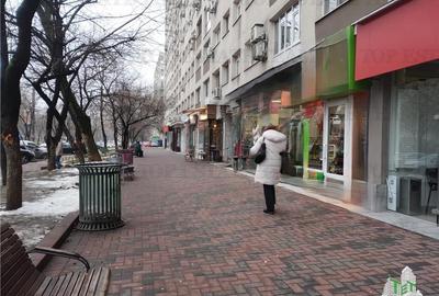 Spatiu comercial 2 intrari cu deschidere la bulevard, zona comerciala excelenta, - 2