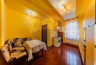 Apartament de inchiriat 2 camere Gradiste - 4
