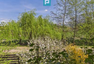 Casă Câmpani, 8000 mp teren, la poalele Apusenilor - 24
