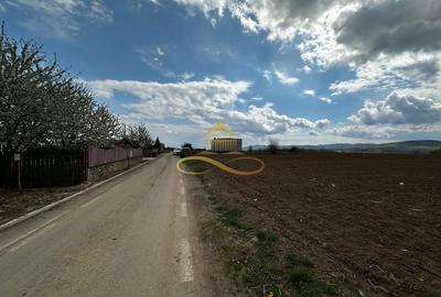 De vanzare doua loturi de teren in Fantanele-Bacau - 3