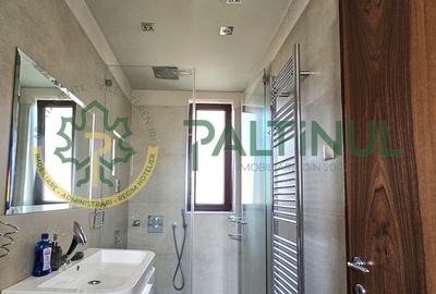 Apartament de închiriat la casa, zona centrala Sibiu, Bdul Victoriei, garaj - 12