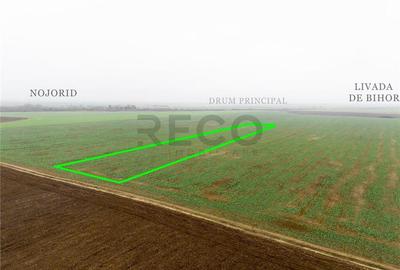 RECO Teren extravilan 5800 mp Livada de Bihor - 10