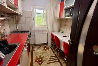 Apartament cu 2 camere decomandat - Pacurari - Toma Cozma - 6