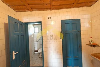 Hala de productie 936 mp de vanzare la Sofronea - 6