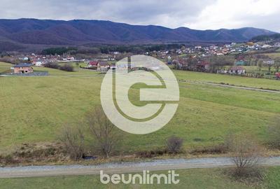 Teren intravilan în Tocile - 39 euro/mp - 4354 m² - 2 fronturi - 7