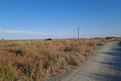 Corbu-faleza-loturi de 515mp - 4