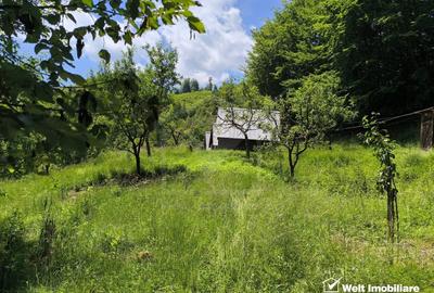 Casa de vacanta, cu lac, 5640 mp teren, Huta, com. Chiuiesti, jud. Cluj - 29