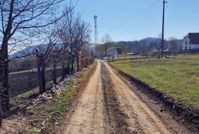 Teren intravilan de 4.000 mp în Bistrița – Alexandru cel Bun - 1