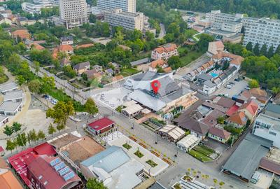 Spațiu versatil pentru business în Băile Felix - 17