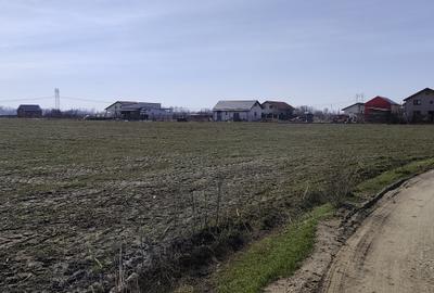 FARA COMISIOANE in Sabareni teren in suprafata de 23200mp gaze curent la teren - 6